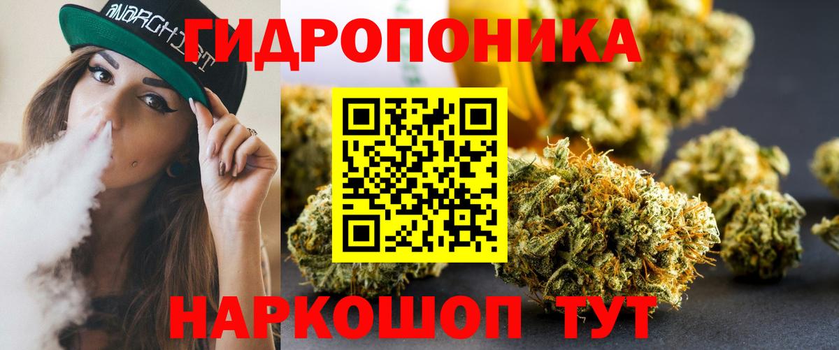 Канабис Bruce Banner  Шишки марихуана SATIVA & INDICA  Сальск  Вход с VPN  Канабис гибрид 